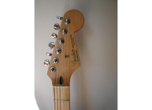 Fender made in Mexico [Stratocaster]