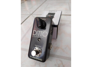 TC Electronic Ditto Looper (79993)