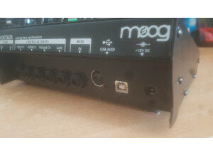 Moog Music Minitaur