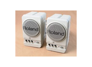 Roland VS-2480 (43555)