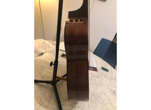 Taylor 514ce (87504)