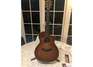Taylor 514ce (227)