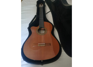 Alhambra Guitars 5P CT E2