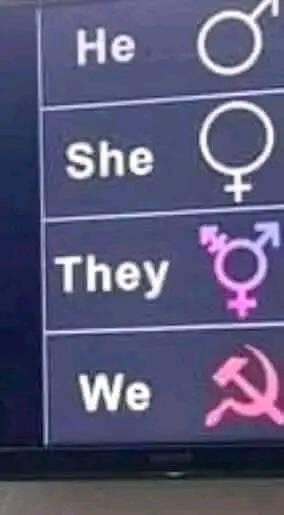 4736127.jpg 4736127.jpg