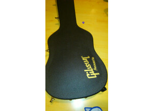 Gibson J45 (82087)