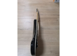 Fender Tom Morello Stratocaster (86637)