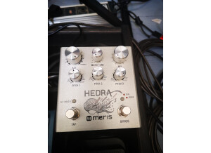 Meris Hedra (10639)