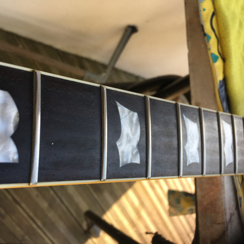 4743204.jpeg 4743204.jpeg