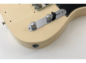 Fender American Special Telecaster (30955)