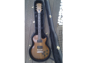 Gibson The Paul (39749)