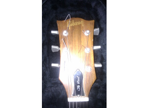 Gibson The Paul (50136)