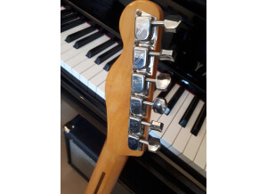 Fender American Vintage '69 Telecaster Thinline (6339)