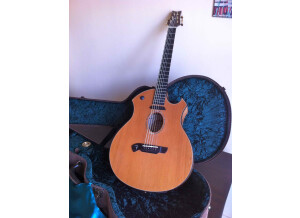 Parker Guitars P8E (58228)