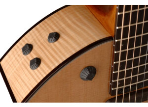 Parker Guitars P8E (18045)