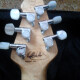 EVH Wolfgang TR Flametop EVH Wolfgang TR Flametop