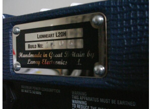Laney Lionheart L20H