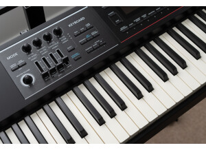 Roland JUNO-DS88 (71651)