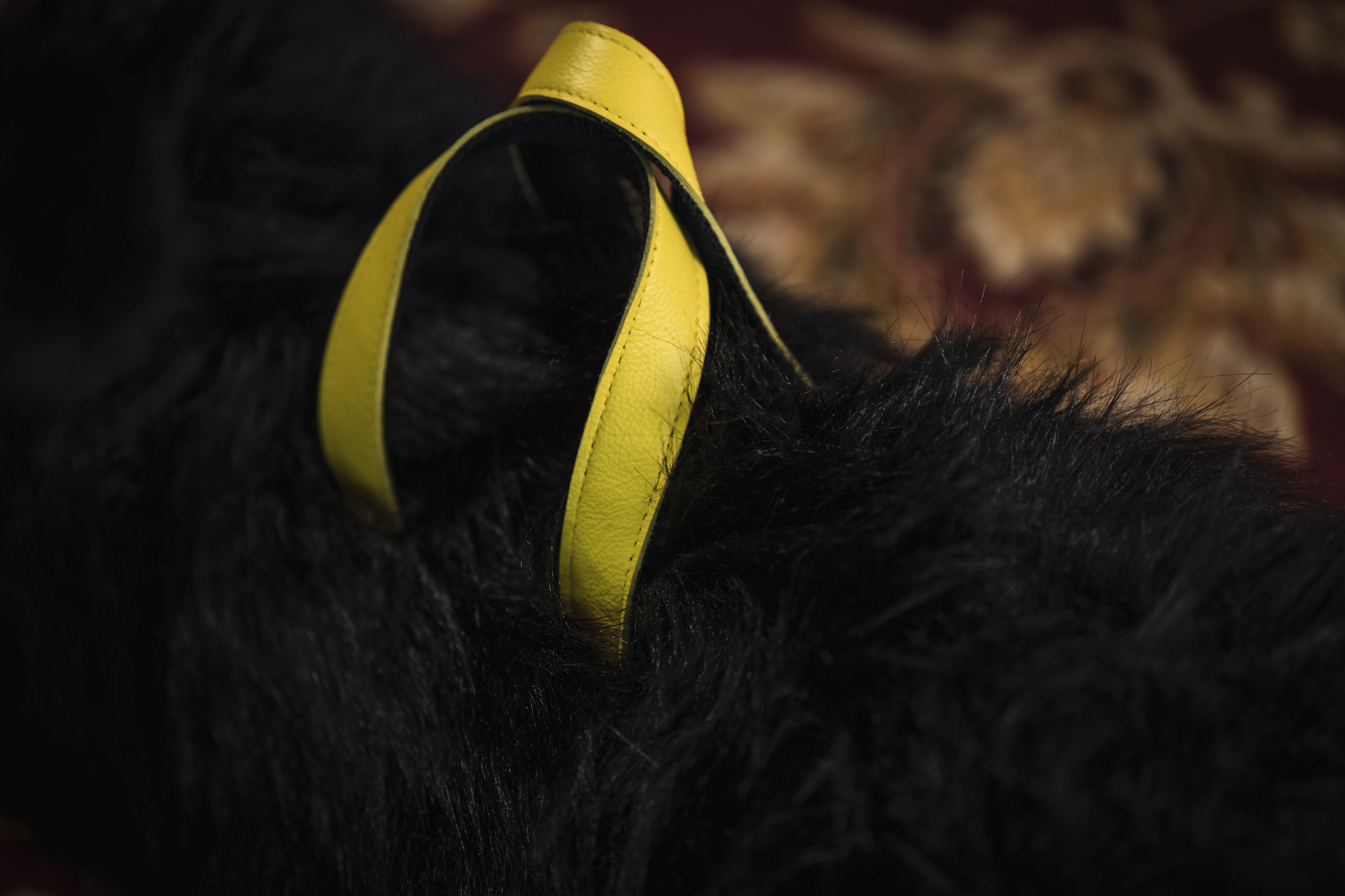 FPF_Minions_Beauty_49