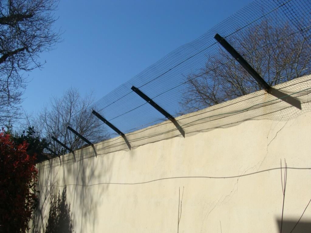 4755009.jpg 4755009.jpg