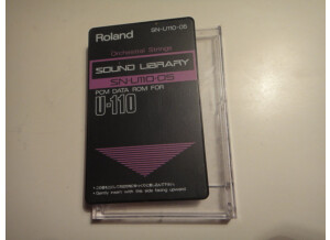Roland SN-U110-05 : Orchestral Strings (24101)