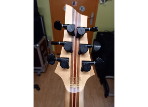 Schecter C-1 SLS Elite (33632)