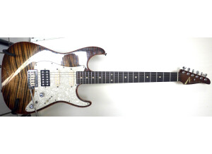 Tom Anderson HOLLOW DROP TOP CLASSIC (22894)