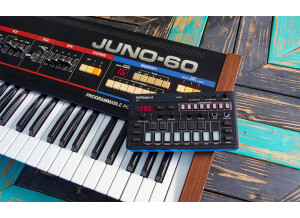 Roland J-6 Chord Synthesizer (63292)