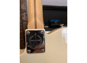 Fender American Special Telecaster (96070)