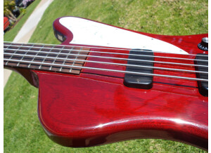 Gibson [Bass Series] Thunderbird Studio V