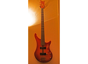 Vigier Arpège III 5 cordes