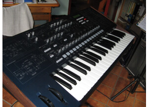 Korg MS2000 (11115)