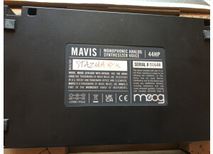 Moog Music Mavis