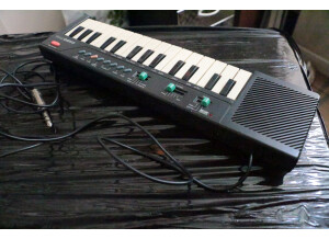 Casio PT-10 (83316)