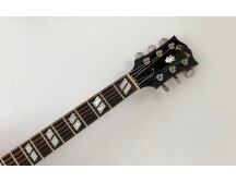 Gibson Dove (36441)