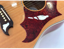 Gibson Dove (32344)