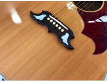 Gibson Dove (29532)