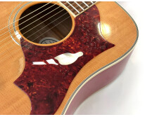 Gibson Dove (10157)