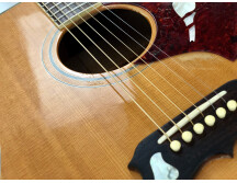 Gibson Dove (16080)