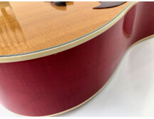 Gibson Dove (79457)