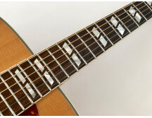 Gibson Dove (50585)