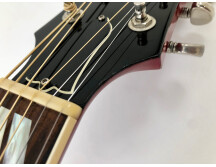 Gibson Dove (3393)
