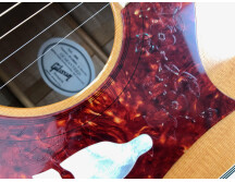 Gibson Dove (89509)