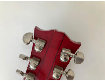 Gibson Dove (5580)