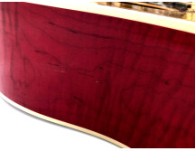 Gibson Dove (26891)