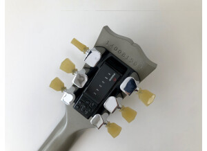 Gibson Les Paul Futura 2014 (66275)