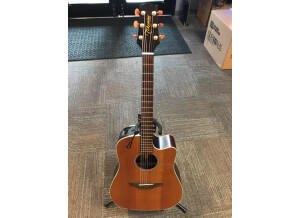 Takamine EG10SC