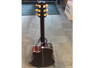 Takamine EG10SC (17394)