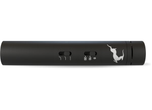 Antelope Audio Edge Note (16716)