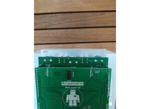 Intellijel Designs Morgasmatron (45416)