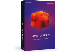 Magix Sound Forge Pro 12 (3771)